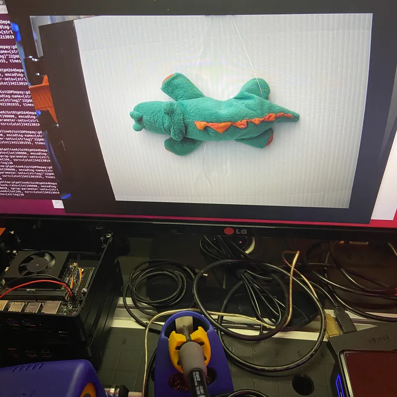 Dendra Remote Animal Identification (D-RAI) training