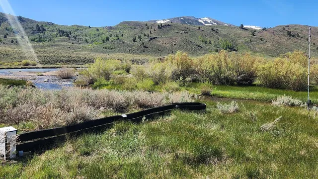Pickel Meadow